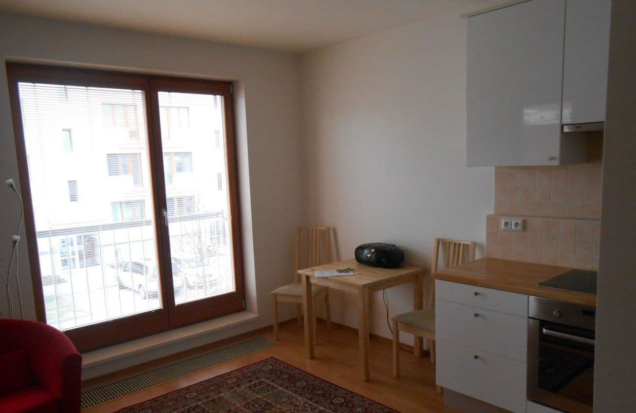 1 bedroom with open-plan kitchen flat to rent, 43 m², Neumannova, Prague, Prague 1 bedroom with open-plan kitchen flat to rent, 43 m², Neumannova, Prague, Prague