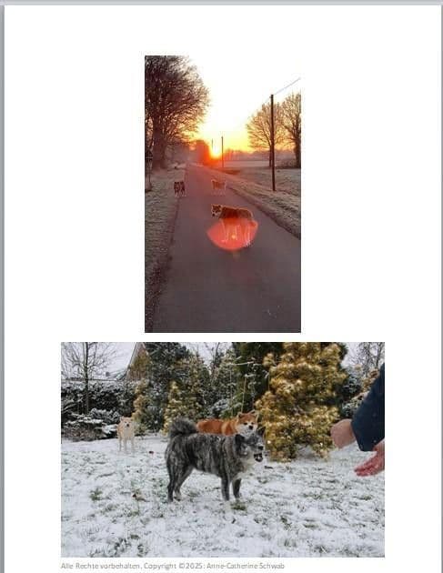 house for sale, 301 m², Ennigerloh, North Rhine-Westphalia house for sale, 301 m², Ennigerloh, North Rhine-Westphalia