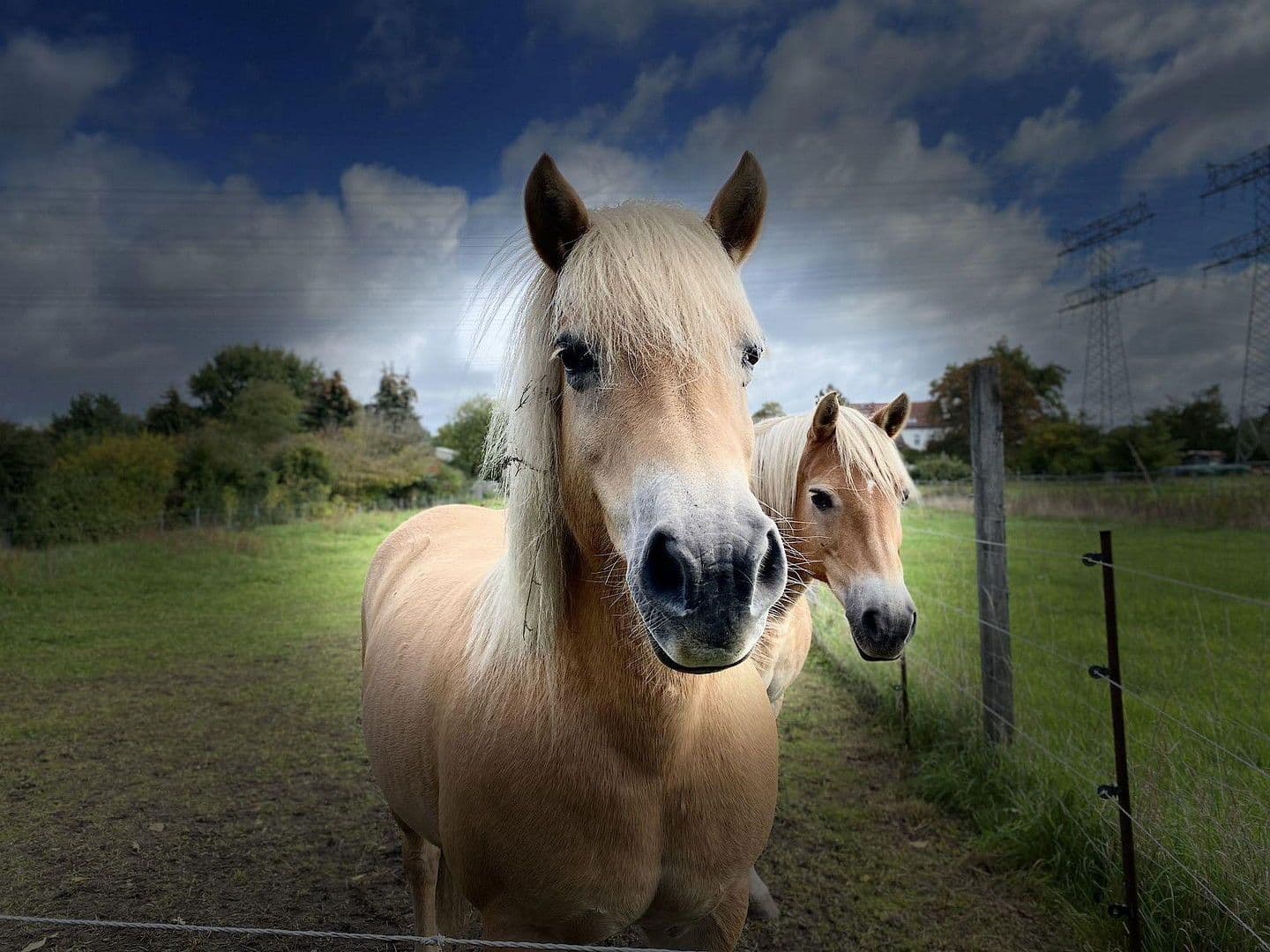 house to rent, 87 m², Berlin, Berlin house to rent, 87 m², Berlin, Berlin