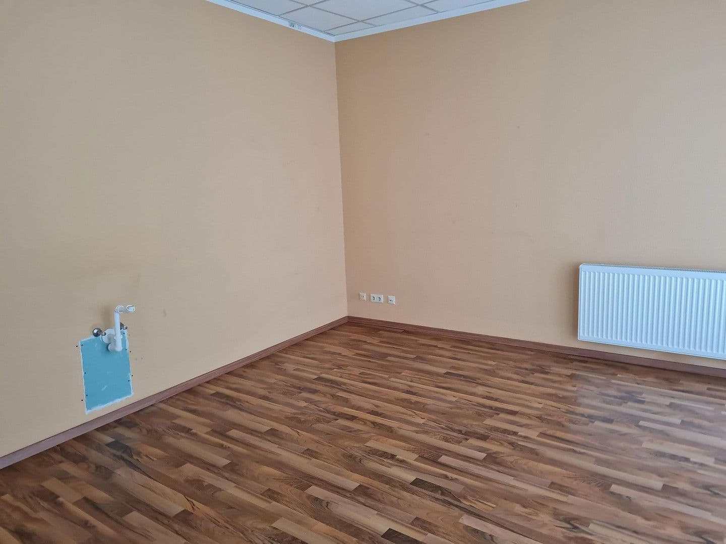 office to rent, 73 m², Wurzen, Saxony office to rent, 73 m², Wurzen, Saxony