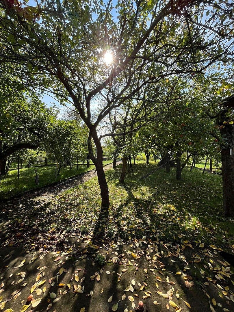 house for sale, 119 m², Kirchhain, Hesse house for sale, 119 m², Kirchhain, Hesse