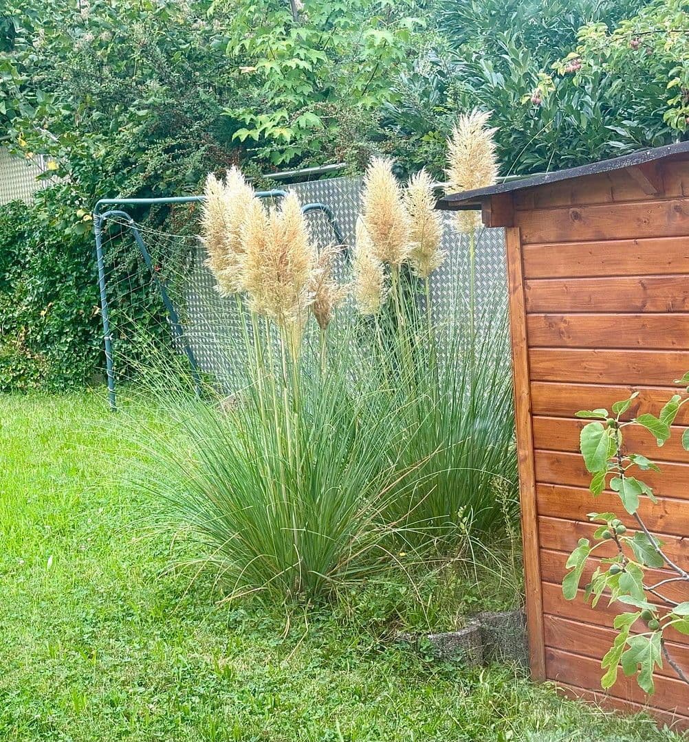 house for sale, 142 m², Hermann-Hesse-Straße 11, Linkenheim-Hochstetten, Baden-Württemberg house for sale, 142 m², Hermann-Hesse-Straße 11, Linkenheim-Hochstetten, Baden-Württemberg