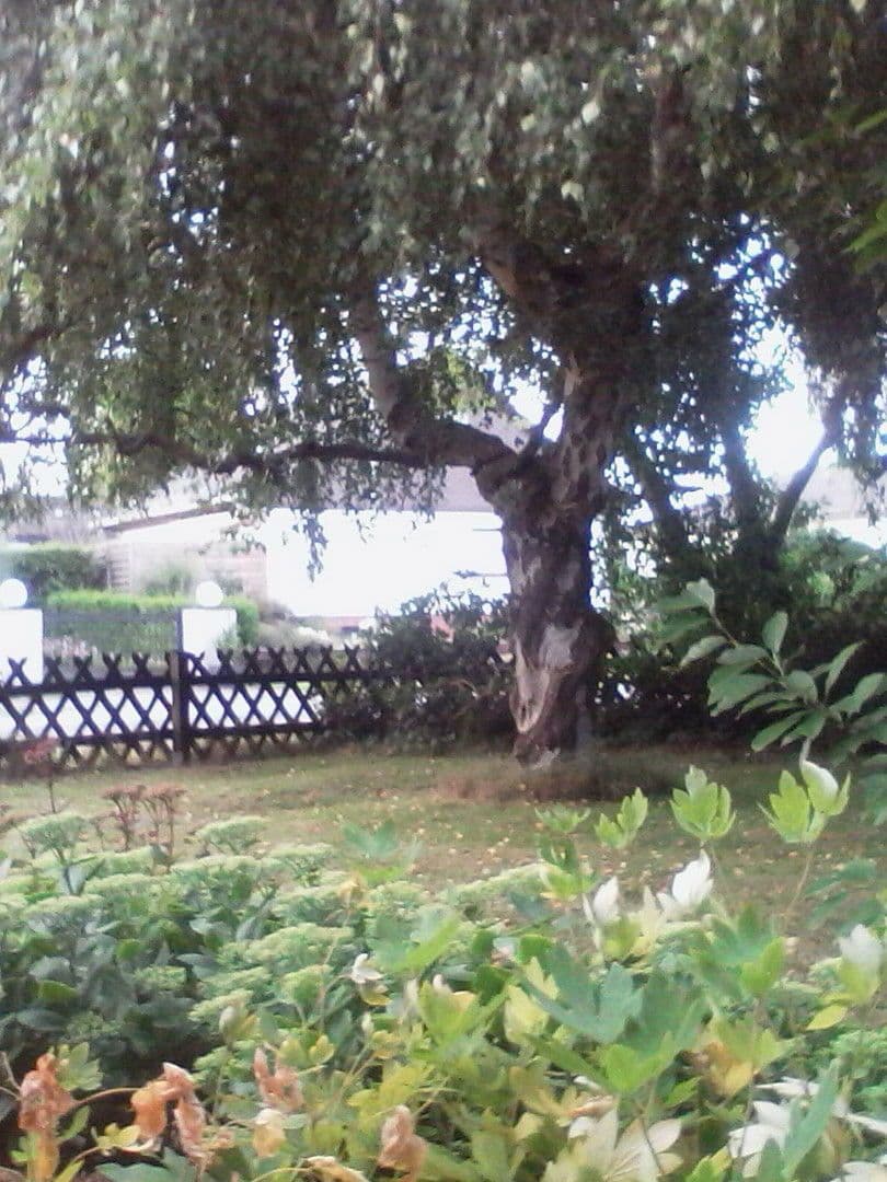 house for sale, 140 m², Bremerhaven, Bremen house for sale, 140 m², Bremerhaven, Bremen