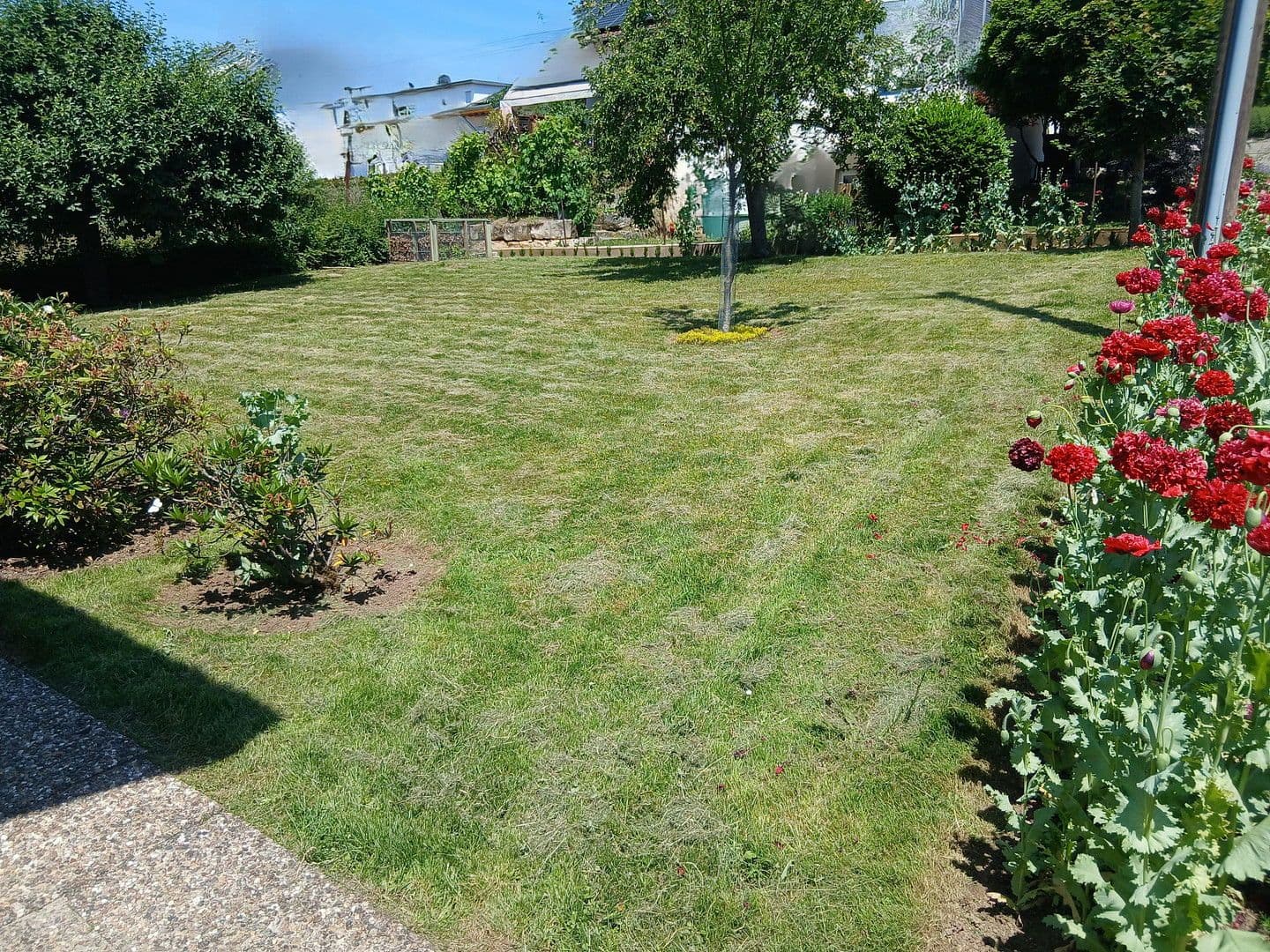 2 bedroom with open-plan kitchen flat to rent, 90 m², Frickenhausen, Baden-Württemberg 2 bedroom with open-plan kitchen flat to rent, 90 m², Frickenhausen, Baden-Württemberg