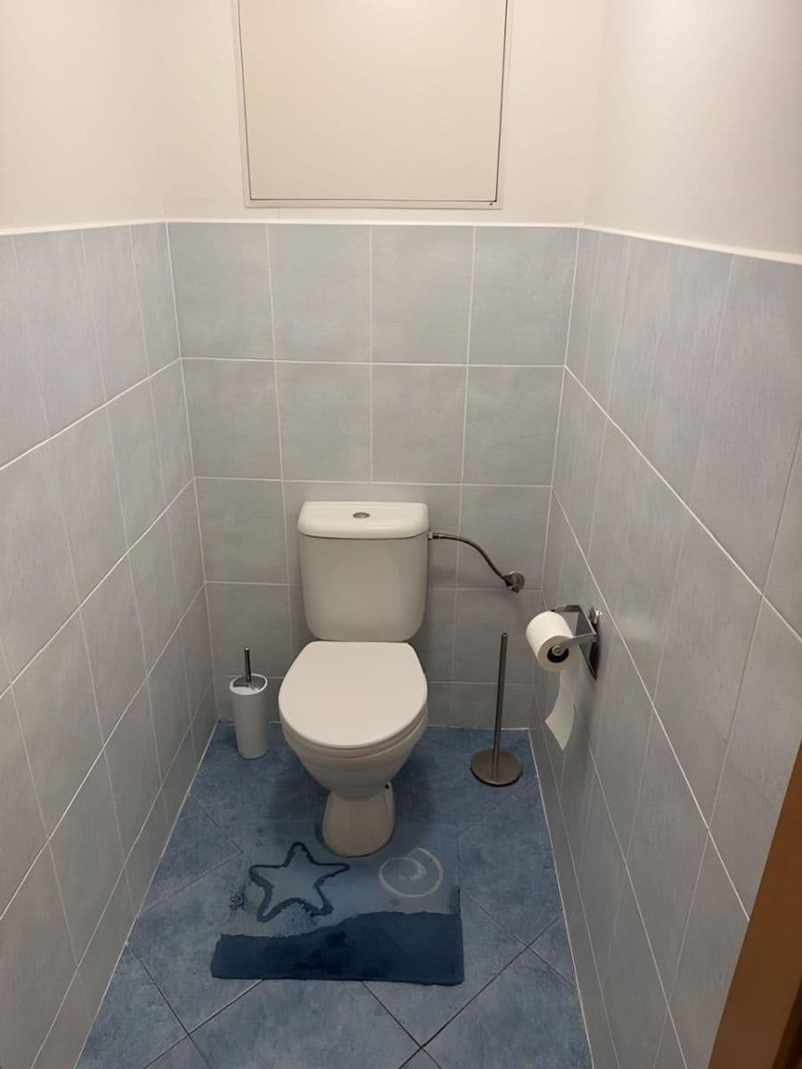 1 bedroom with open-plan kitchen flat to rent, 53 m², Bratislavská, Prague, Prague 1 bedroom with open-plan kitchen flat to rent, 53 m², Bratislavská, Prague, Prague