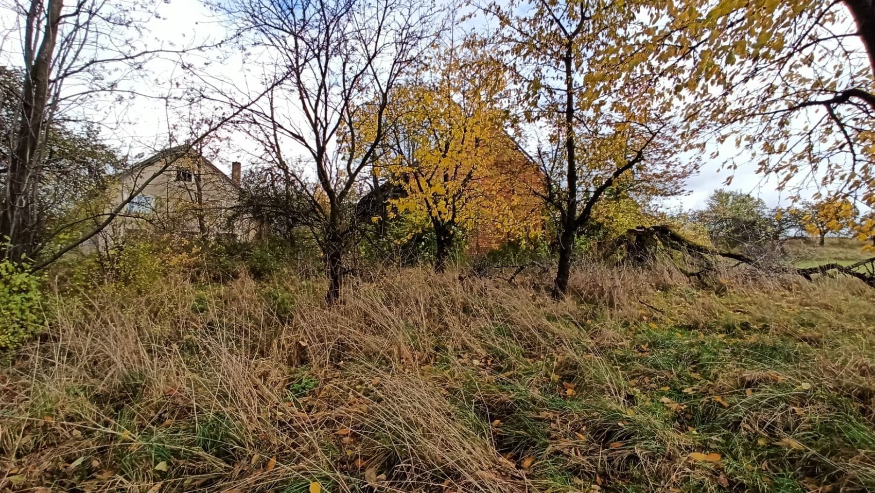 plot for sale, 29,562 m², Mezilesí, Královéhradecký Region plot for sale, 29,562 m², Mezilesí, Královéhradecký Region