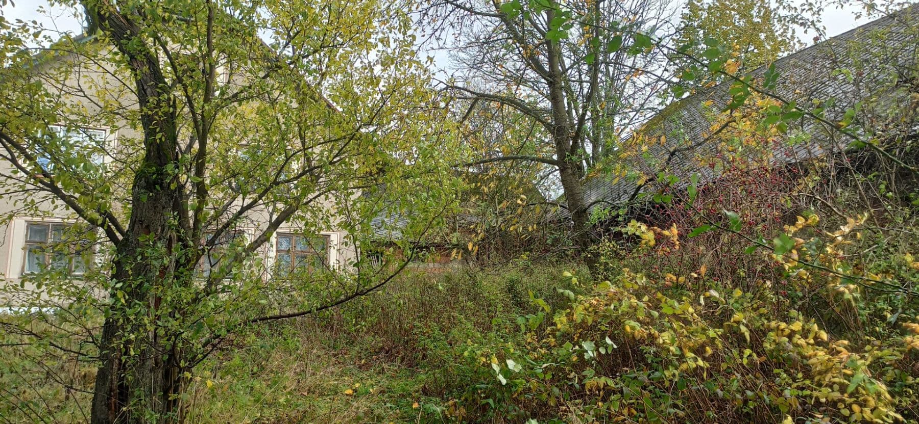 plot for sale, 29,562 m², Mezilesí, Královéhradecký Region plot for sale, 29,562 m², Mezilesí, Královéhradecký Region