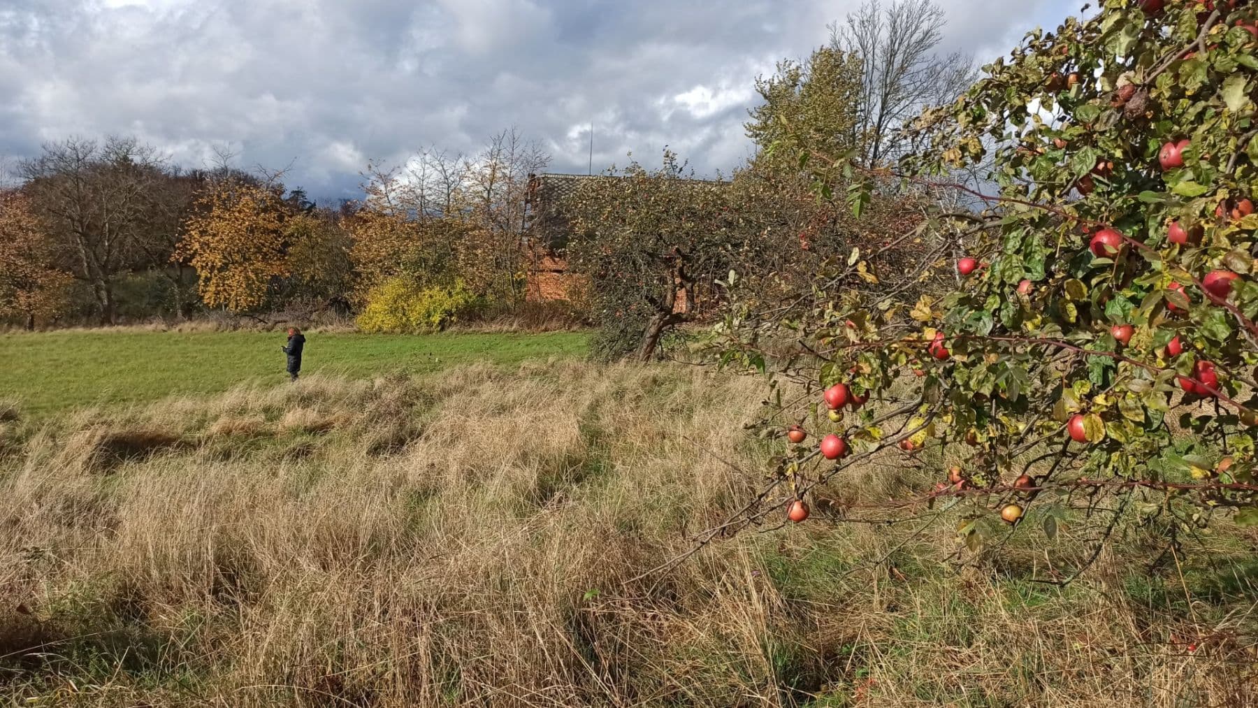 plot for sale, 29,562 m², Mezilesí, Královéhradecký Region plot for sale, 29,562 m², Mezilesí, Královéhradecký Region