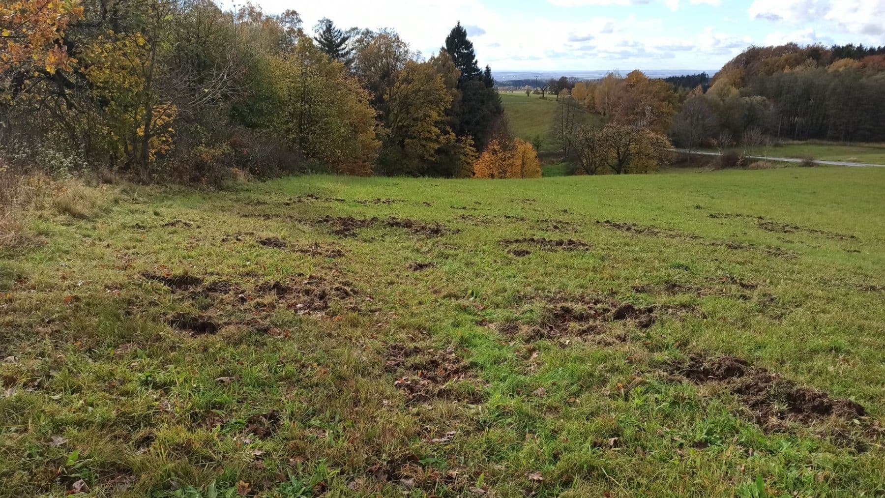 plot for sale, 29,562 m², Mezilesí, Královéhradecký Region plot for sale, 29,562 m², Mezilesí, Královéhradecký Region