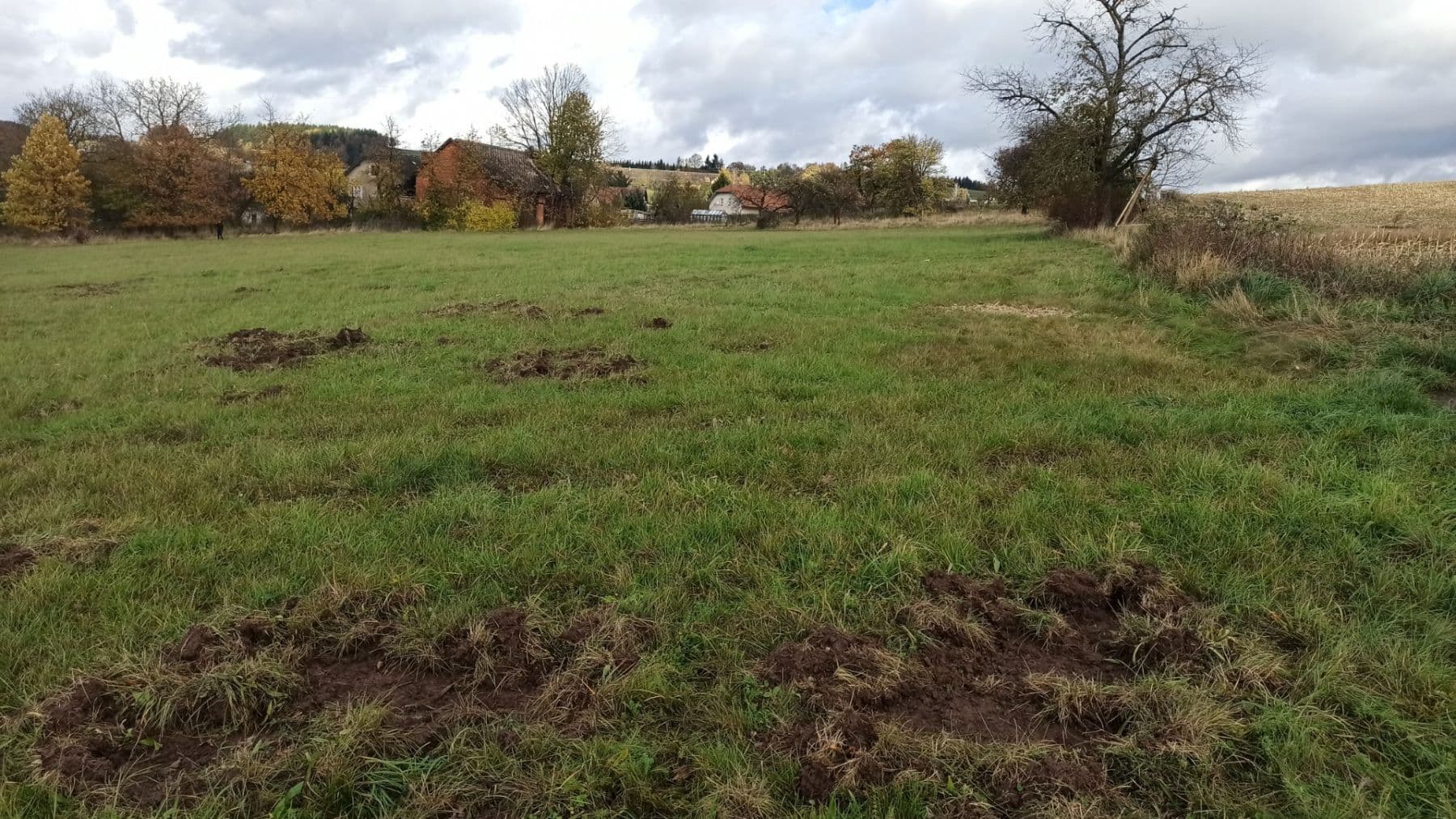 plot for sale, 29,562 m², Mezilesí, Královéhradecký Region plot for sale, 29,562 m², Mezilesí, Královéhradecký Region