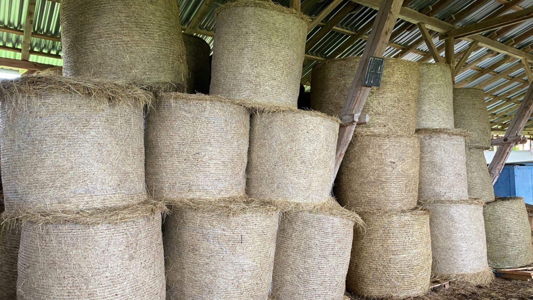 house for sale, 1,577 m², Pluhův Žďár, Jihočeský Region house for sale, 1,577 m², Pluhův Žďár, Jihočeský Region