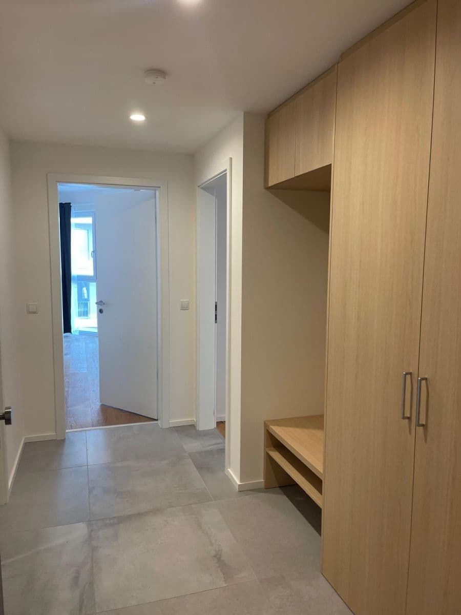 1 bedroom with open-plan kitchen flat to rent, 67 m², Ramonova, Prague, Prague 1 bedroom with open-plan kitchen flat to rent, 67 m², Ramonova, Prague, Prague