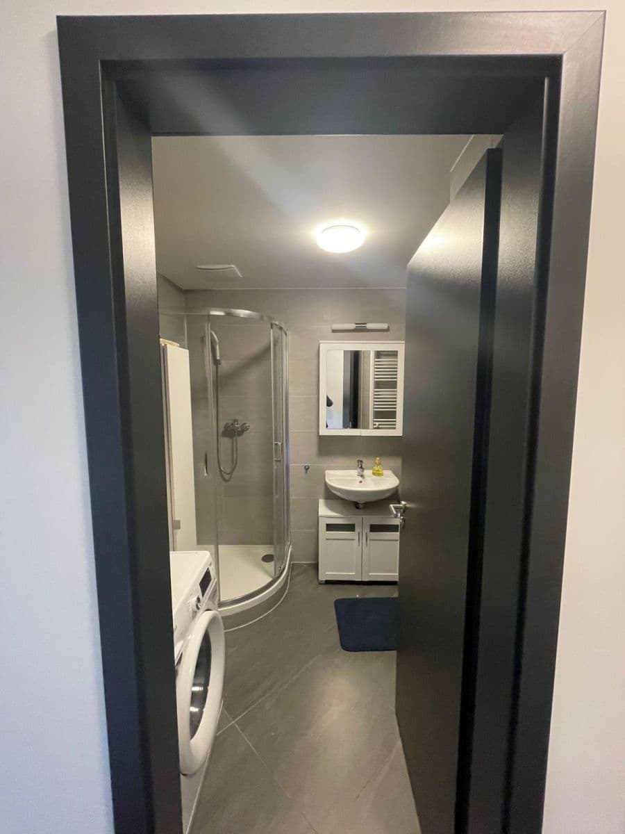 Studio flat for sale, 60 m², Švehlova, Prague, Prague Studio flat for sale, 60 m², Švehlova, Prague, Prague