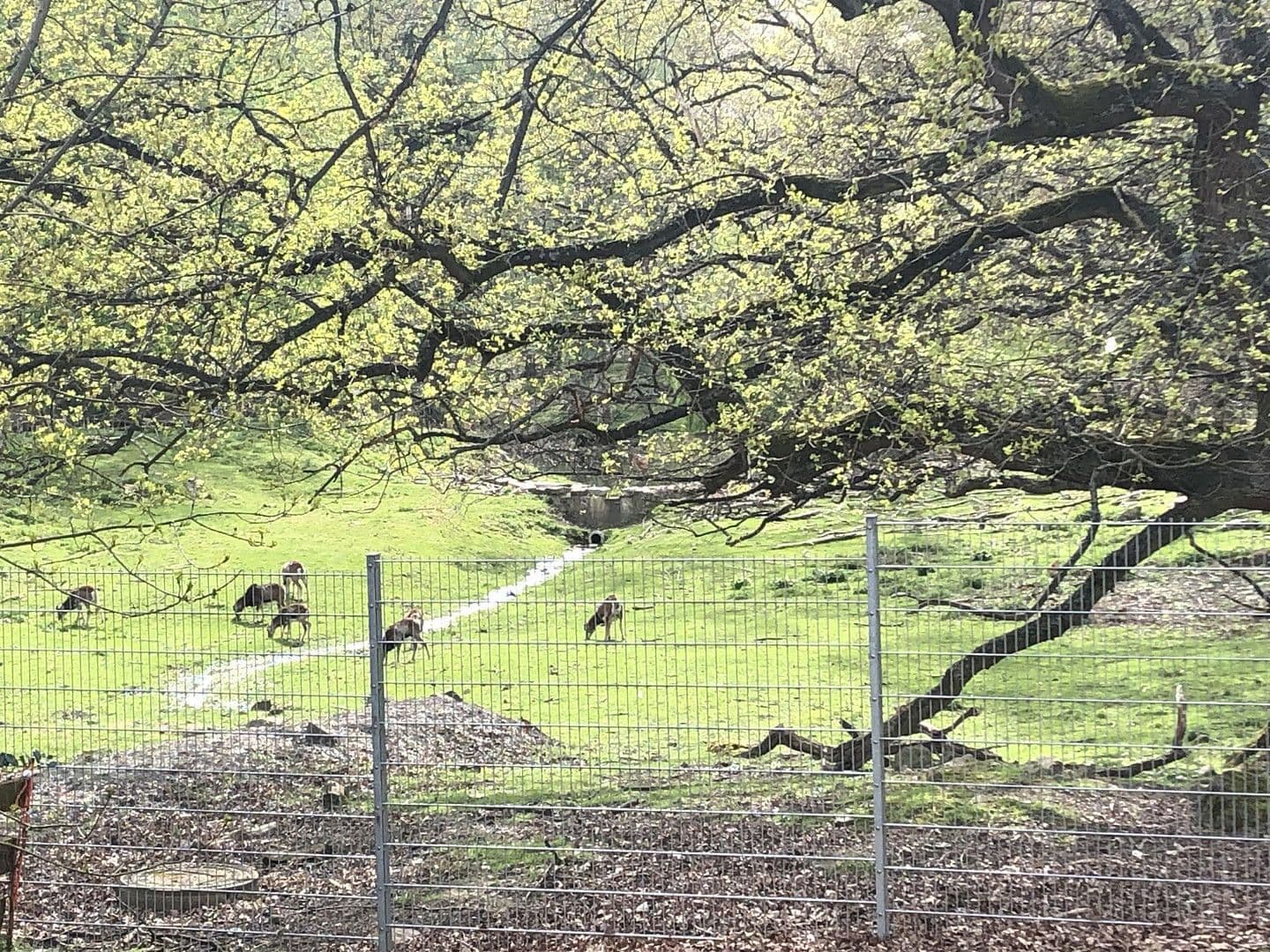 4 bedroom flat to rent, 103 m², Am Wildpark 10, Bad Harzburg, Lower Saxony 4 bedroom flat to rent, 103 m², Am Wildpark 10, Bad Harzburg, Lower Saxony