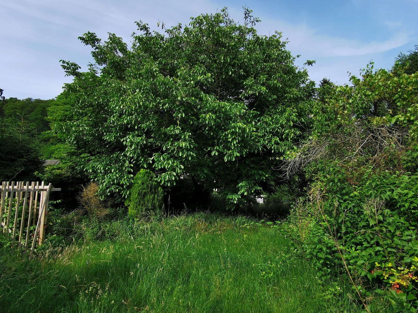 house for sale, 220 m², Blieskastel, Saarland house for sale, 220 m², Blieskastel, Saarland