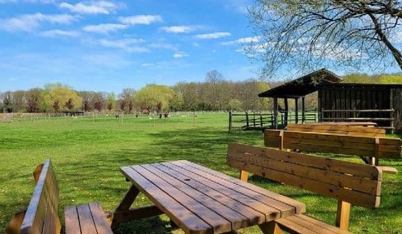 house for sale, 450 m², Niederkrüchten, North Rhine-Westphalia house for sale, 450 m², Niederkrüchten, North Rhine-Westphalia