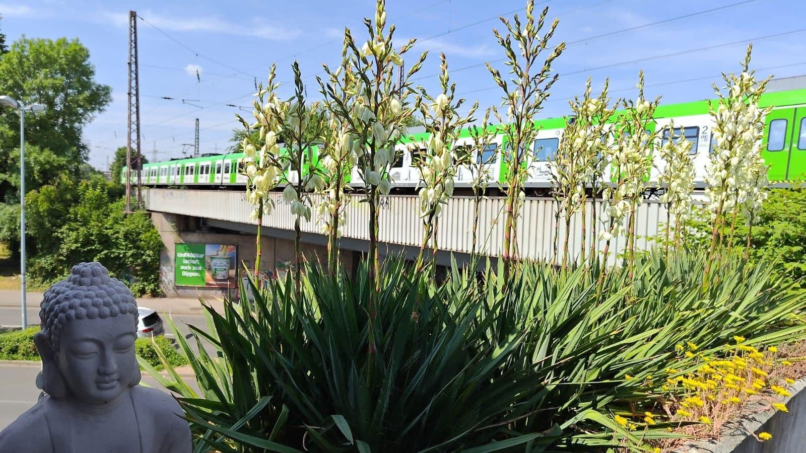 non-residential property for sale, 462 m², Mülheim an der Ruhr, North Rhine-Westphalia non-residential property for sale, 462 m², Mülheim an der Ruhr, North Rhine-Westphalia