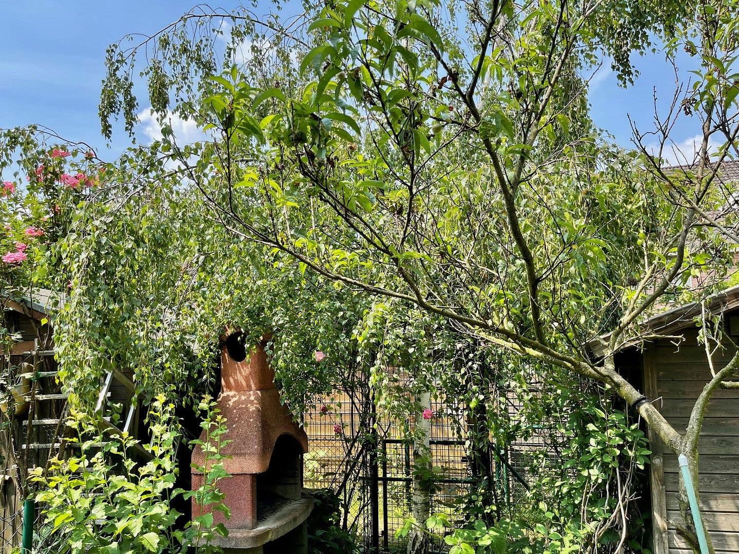 house to rent, 145 m², Franz-Raveaux-Straße 32, Köln, North Rhine-Westphalia house to rent, 145 m², Franz-Raveaux-Straße 32, Köln, North Rhine-Westphalia