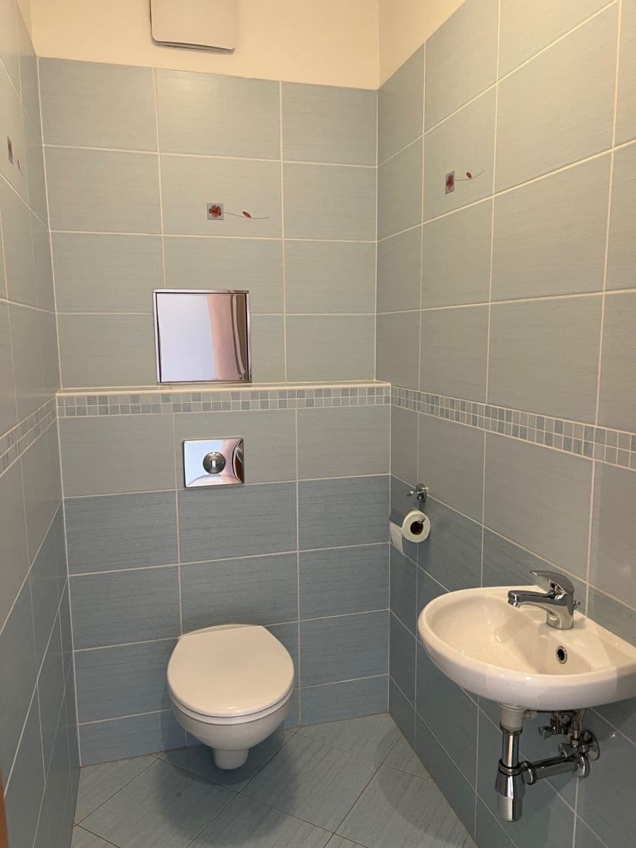 1 bedroom with open-plan kitchen flat to rent, 56 m², Sazovická, Prague, Prague 1 bedroom with open-plan kitchen flat to rent, 56 m², Sazovická, Prague, Prague