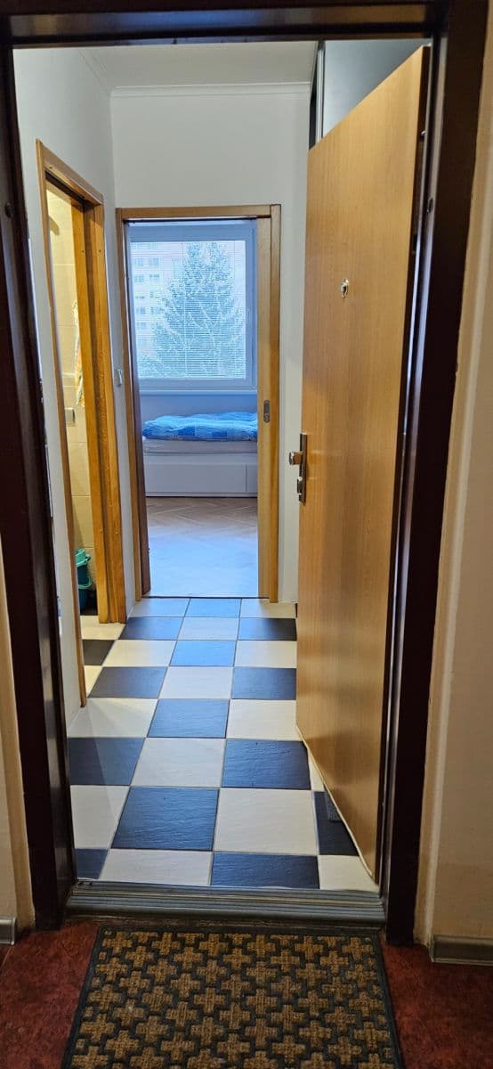 Studio flat to rent, 34 m², Nechvílova, Prague, Prague Studio flat to rent, 34 m², Nechvílova, Prague, Prague