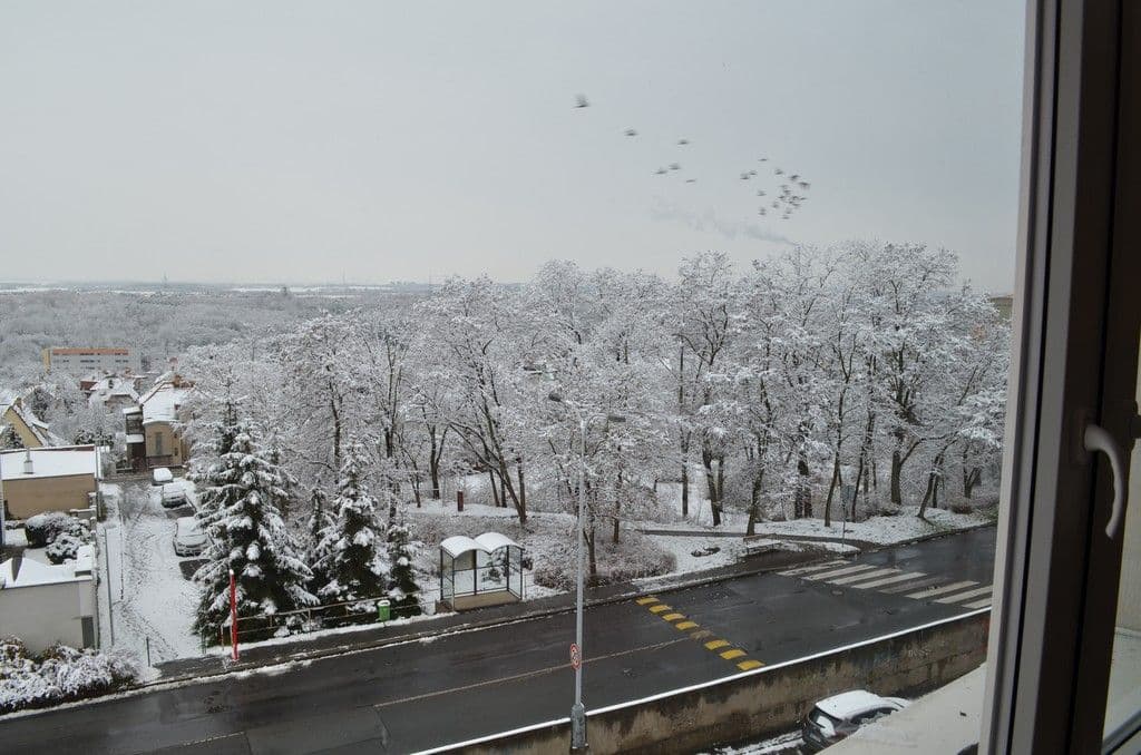 2 bedroom flat to rent, 49 m², Kukelská, Prague, Prague 2 bedroom flat to rent, 49 m², Kukelská, Prague, Prague