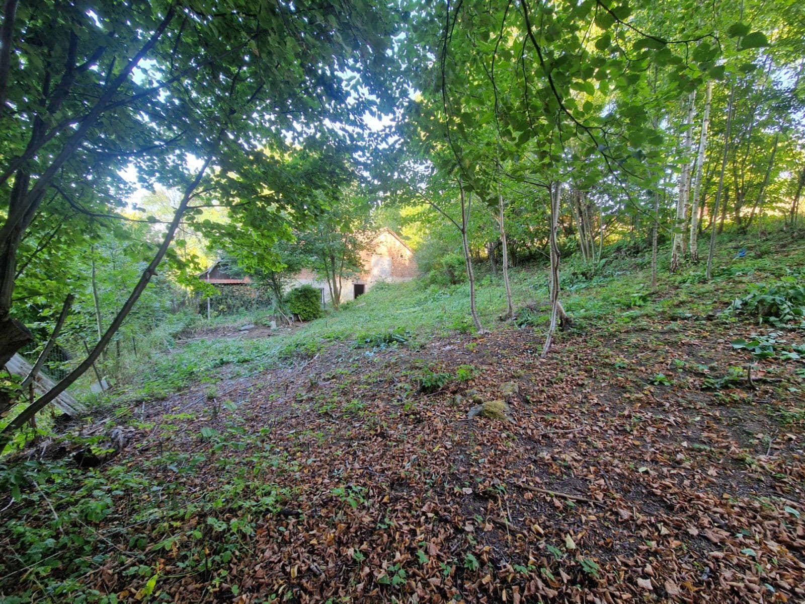 house for sale, 142 m², Vidlatá Seč, Pardubický Region house for sale, 142 m², Vidlatá Seč, Pardubický Region