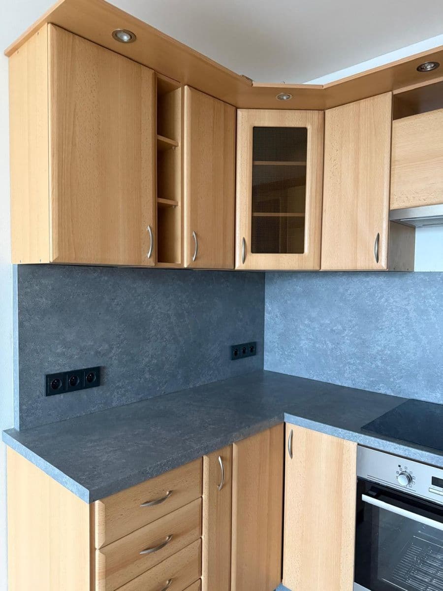 1 bedroom with open-plan kitchen flat to rent, 40 m², Třebenická, Prague, Prague 1 bedroom with open-plan kitchen flat to rent, 40 m², Třebenická, Prague, Prague