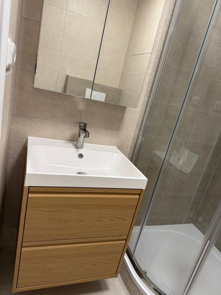 1 bedroom with open-plan kitchen flat to rent, 40 m², Třebenická, Prague, Prague 1 bedroom with open-plan kitchen flat to rent, 40 m², Třebenická, Prague, Prague