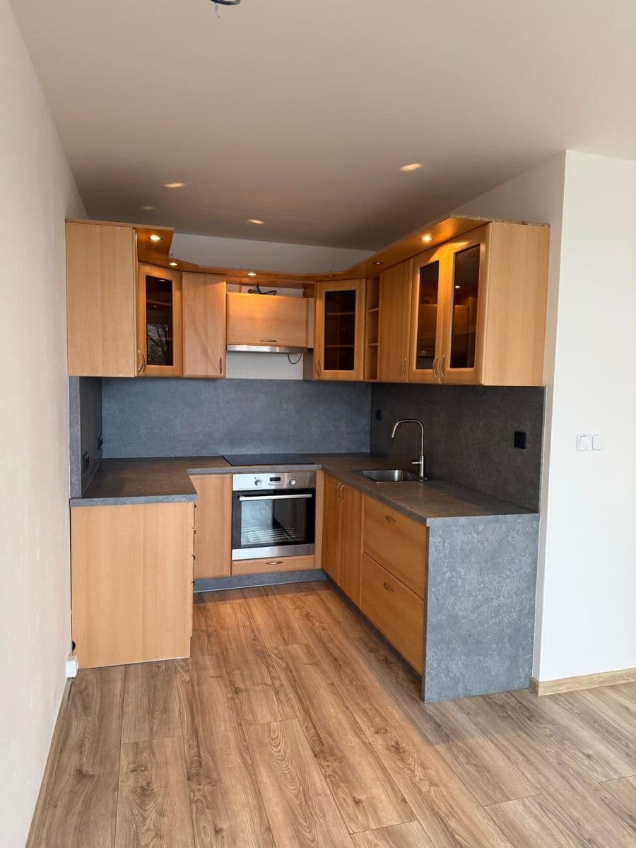 1 bedroom with open-plan kitchen flat to rent, 40 m², Třebenická, Prague, Prague 1 bedroom with open-plan kitchen flat to rent, 40 m², Třebenická, Prague, Prague