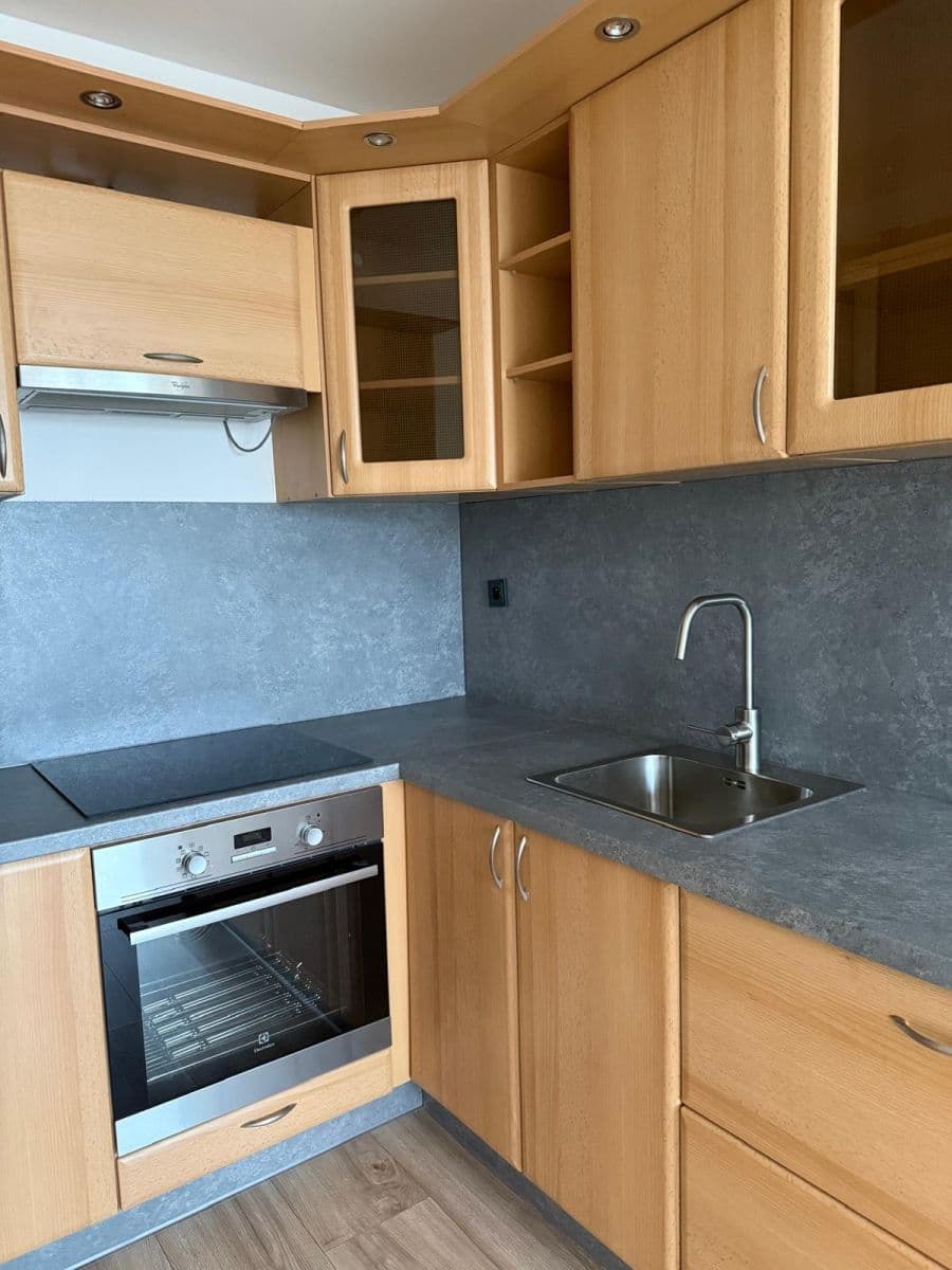 1 bedroom with open-plan kitchen flat to rent, 40 m², Třebenická, Prague, Prague 1 bedroom with open-plan kitchen flat to rent, 40 m², Třebenická, Prague, Prague