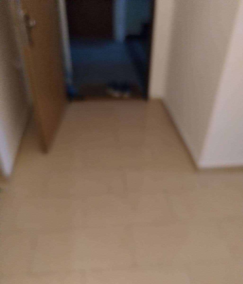 1 bedroom with open-plan kitchen flat for sale, 38 m², Plzeňská, Prague, Prague 1 bedroom with open-plan kitchen flat for sale, 38 m², Plzeňská, Prague, Prague