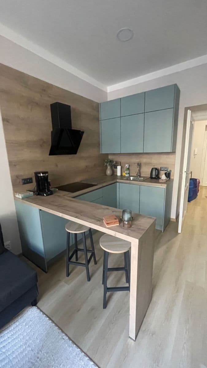 1 bedroom with open-plan kitchen flat to rent, 52 m², Bulharská, Prague, Prague 1 bedroom with open-plan kitchen flat to rent, 52 m², Bulharská, Prague, Prague