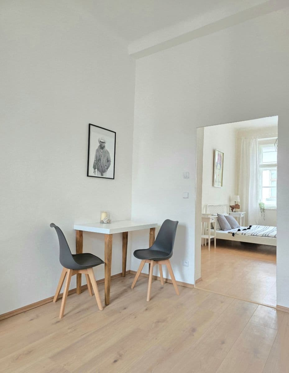1 bedroom with open-plan kitchen flat to rent, 45 m², Chlumova, Prague, Prague 1 bedroom with open-plan kitchen flat to rent, 45 m², Chlumova, Prague, Prague