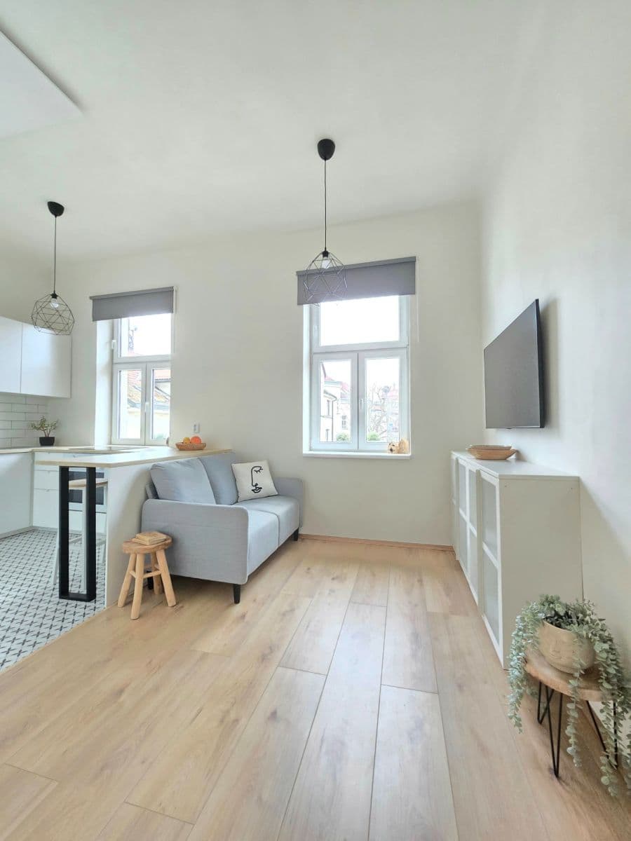 1 bedroom with open-plan kitchen flat to rent, 45 m², Chlumova, Prague, Prague 1 bedroom with open-plan kitchen flat to rent, 45 m², Chlumova, Prague, Prague