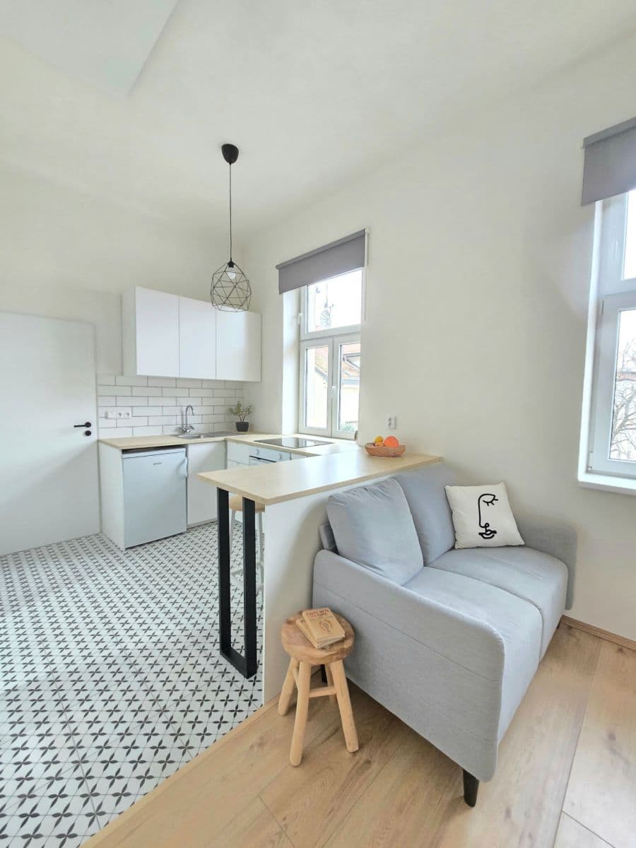 1 bedroom with open-plan kitchen flat to rent, 45 m², Chlumova, Prague, Prague 1 bedroom with open-plan kitchen flat to rent, 45 m², Chlumova, Prague, Prague