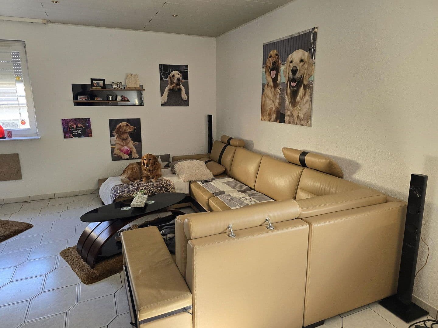 flat for sale, 604 m², Saarbrücken, Saarland flat for sale, 604 m², Saarbrücken, Saarland