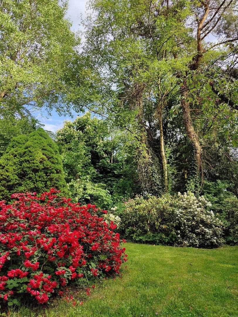 house for sale, 174 m², Olzheim, Rhineland-Palatinate house for sale, 174 m², Olzheim, Rhineland-Palatinate