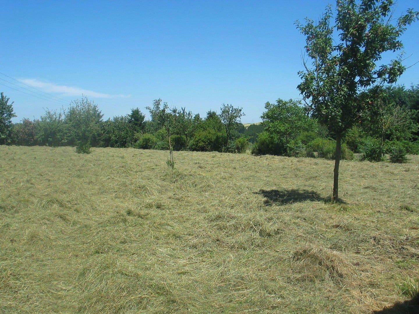 house for sale, 174 m², Olzheim, Rhineland-Palatinate house for sale, 174 m², Olzheim, Rhineland-Palatinate