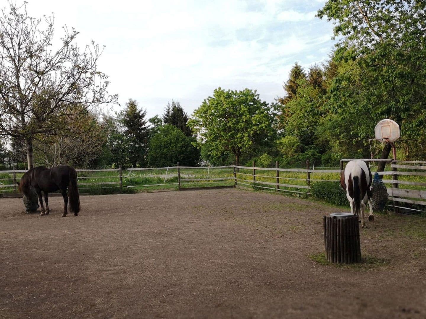 house for sale, 174 m², Olzheim, Rhineland-Palatinate house for sale, 174 m², Olzheim, Rhineland-Palatinate