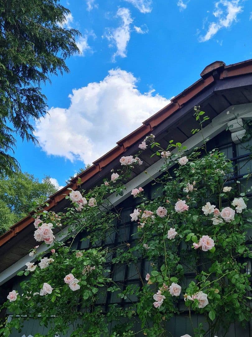 house for sale, 174 m², Olzheim, Rhineland-Palatinate house for sale, 174 m², Olzheim, Rhineland-Palatinate