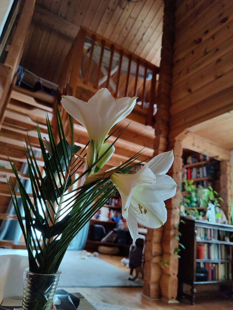 house for sale, 174 m², Olzheim, Rhineland-Palatinate house for sale, 174 m², Olzheim, Rhineland-Palatinate