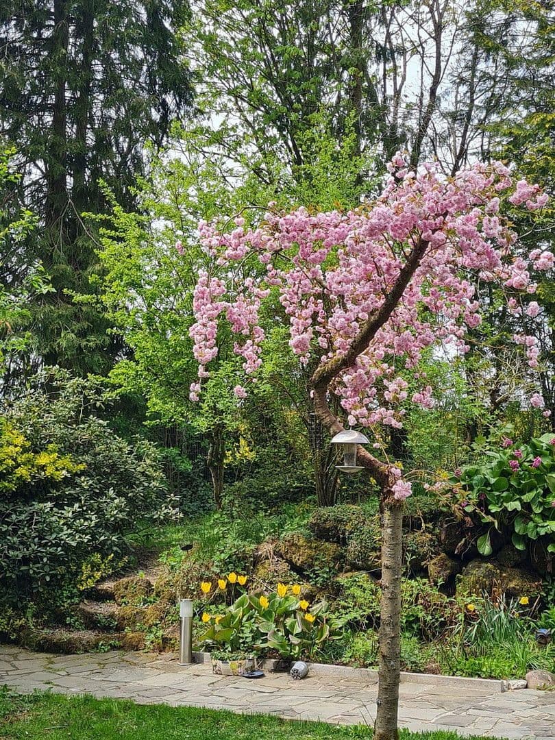 house for sale, 174 m², Olzheim, Rhineland-Palatinate house for sale, 174 m², Olzheim, Rhineland-Palatinate