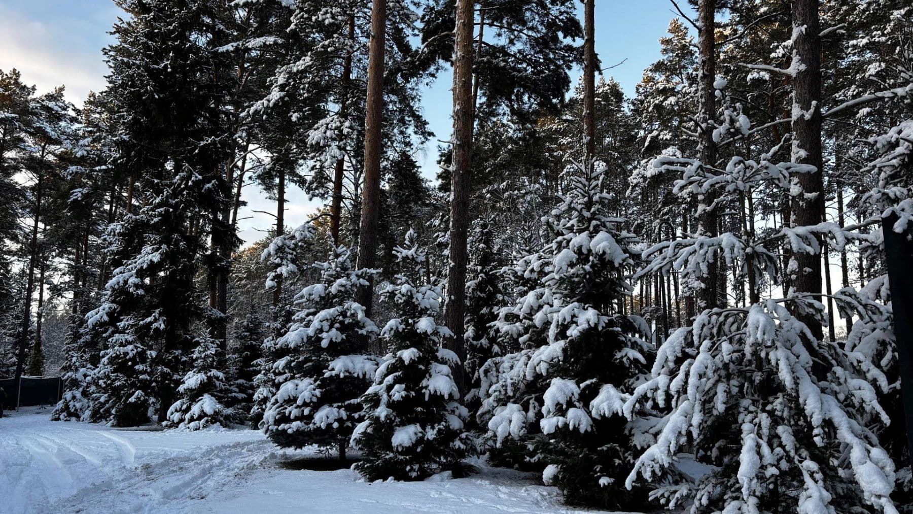 house for sale, 368 m², Borkwalde, Brandenburg house for sale, 368 m², Borkwalde, Brandenburg