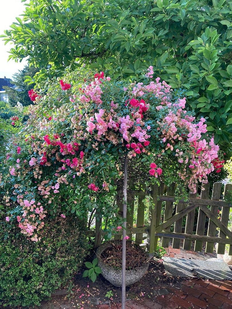 plot for sale, 500 m², Hamburg, Hamburg plot for sale, 500 m², Hamburg, Hamburg