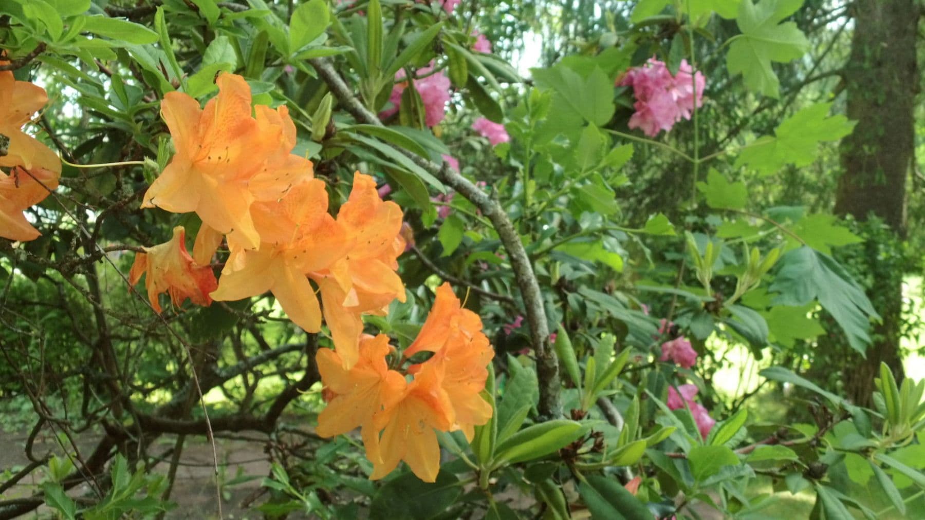 3 bedroom flat to rent, 119 m², Schwimmbadstraße 7, Bad Herrenalb, Baden-Württemberg 3 bedroom flat to rent, 119 m², Schwimmbadstraße 7, Bad Herrenalb, Baden-Württemberg