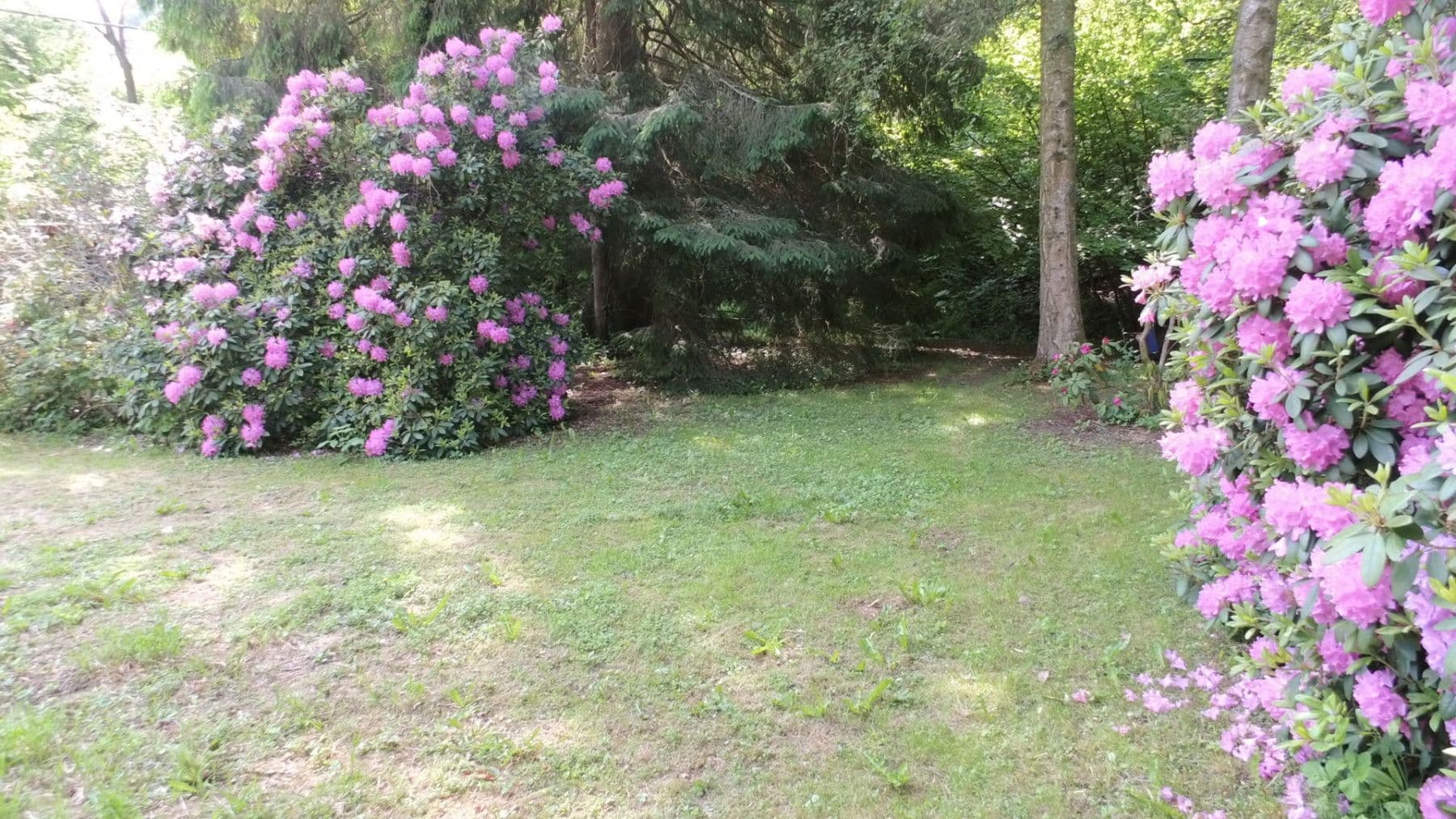 3 bedroom flat to rent, 119 m², Schwimmbadstraße 7, Bad Herrenalb, Baden-Württemberg 3 bedroom flat to rent, 119 m², Schwimmbadstraße 7, Bad Herrenalb, Baden-Württemberg