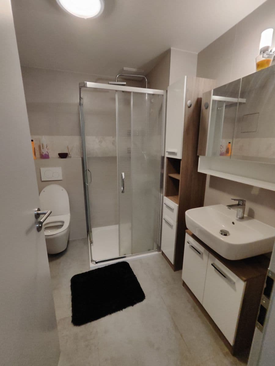 1 bedroom with open-plan kitchen flat to rent, 54 m², Želetická, Prague, Prague 1 bedroom with open-plan kitchen flat to rent, 54 m², Želetická, Prague, Prague