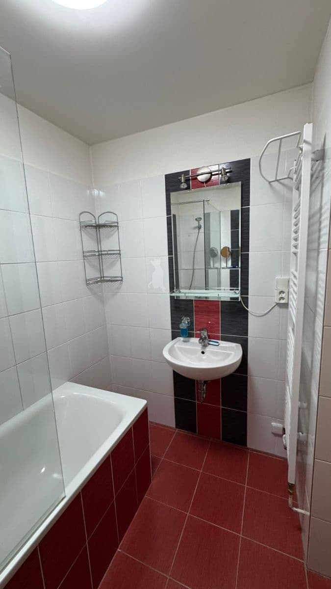 1 bedroom with open-plan kitchen flat to rent, 50 m², U Leskavy, Brno, Jihomoravský Region 1 bedroom with open-plan kitchen flat to rent, 50 m², U Leskavy, Brno, Jihomoravský Region