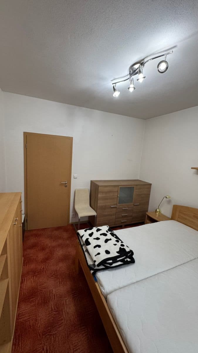 1 bedroom with open-plan kitchen flat to rent, 50 m², U Leskavy, Brno, Jihomoravský Region 1 bedroom with open-plan kitchen flat to rent, 50 m², U Leskavy, Brno, Jihomoravský Region