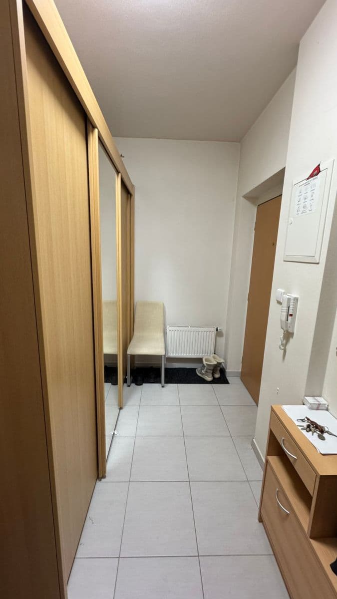 1 bedroom with open-plan kitchen flat to rent, 50 m², U Leskavy, Brno, Jihomoravský Region 1 bedroom with open-plan kitchen flat to rent, 50 m², U Leskavy, Brno, Jihomoravský Region